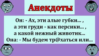 Весёлые  анекдоты для настроения!   Смех  юмор  шутки  приколы!