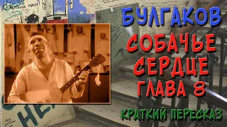 Собачье сердце. 8 глава. Краткое содержание