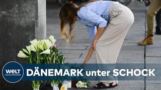 KOPENHAGEN KILLER: Verdächtiger Däne wird der vorsätzlichen Tötung beschuldigt | WELT Thema