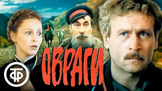 Овраги. В главной роли Борис Невзоров (1990)