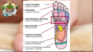 7 АКТИВНЫХ ТОЧЕК НА СТОПЕ ВЕРНУТ ВАС К ЖИЗНИ!