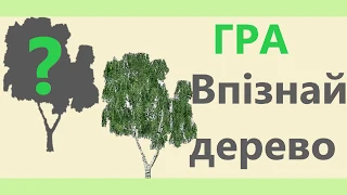 Гра "Впізнай дерево за описом"