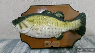 Big Mouth Billy Bass With Low Batteries