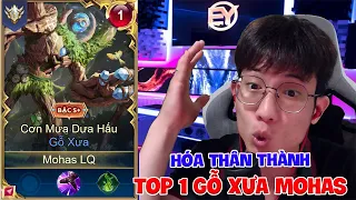 Hóa Thân Thành Top 1 Gỗ Xưa Mohas và cái kết