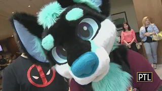 The Furries are back!