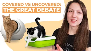 What's the Best Type of Cat Litter Box?