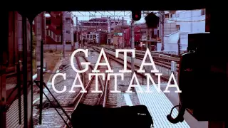 Gata Cattana - Atlanta