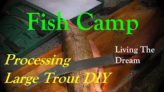 Processing Large Trout,  Free Wild Off Grid Food @ The Rustic Log Cabin Deer Hunting Camp