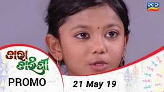 Tara Tarini | 21 May 19 | Promo | Odia Serial – TarangTV