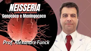 NEISSERIA (GONOCOCO E MENINGOCOCO) - PROF. ALEXANDRE FUNCK