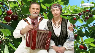 Зелений сад. Українська народна пісня під гармонь. Дует Борисове Поле. Ukrainian folk songs