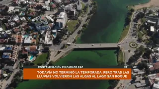 Tras las lluvias, volvieron las algas al lago San Roque en Carlos Paz