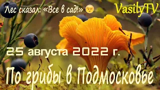 🌳По грибы в Подмосковье 25 августа 2022 г.🌳 Лес сказал: «Все в сад!»😉