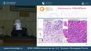 Оценка патоморфологического ответа на неоадъювантную лекарственную терапию