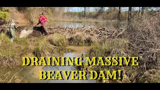 RELEASING WATER FROM BEAVER DAM! 05/2024