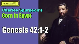 Genesis 42:1-2  -  Corn in Egypt || Charles Spurgeon’s Sermon