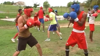 Cuba Sparring - National Team and International Camp for Olympic Boxers Swedish Actor @Nurbobozan
