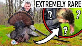 I Hunted an EXTREMELY RARE Turkey and didn't even know it...