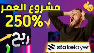 أفضل مشروع حقيقي ربح 250% من عمله stakelayer | استغل الفرصه بسرعه 🔥