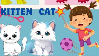 kitty cat song meow, meow, meow, | kitty kitty song | cat kitty cat song