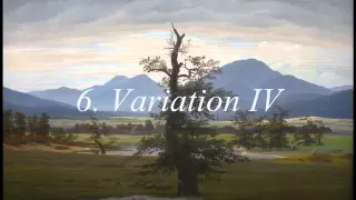 Franz Schubert - Introduction and Variations for Flute and Piano in E minor, D 802 "Trockne Blumen"