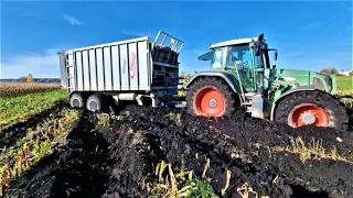 Fendt versinkt im MOOR! Jaguar 950 zieht alle raus aus dem Sumpf!