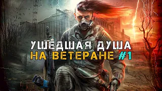 STALKER Ушедшая Душа #1. В Поисках Стрелка