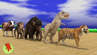 New Choose Right Door Wild Animals and Fruit With Cow, Dinosaur, Mammoth, Tiger, 3D Animation