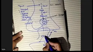 Adrenergic system ANS , adrenergic agonists, pharma zoom 2022, complete,