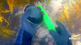 Quick Titahi Bay Dive