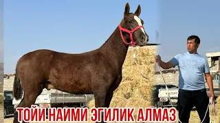 Тойи Наими Эгилик Алмаз 💎