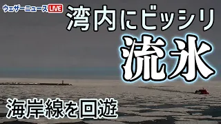 【流氷タイムラプス】ライブカメラ紋別港(2024.01.29)　#ウェザーニュース #流氷