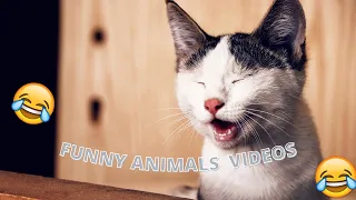 Funniest Animals - Best Of The 2021 Funny Animal Videos #25