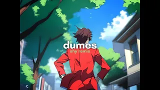 Dumes (Lofi Remix)