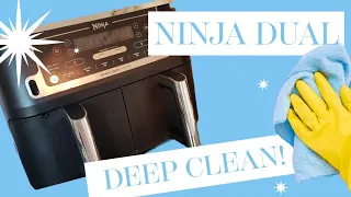 ONE year old NINJA DUAL deep CLEAN
