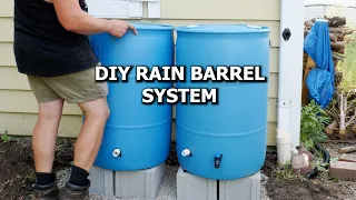 Build Your Own Rain Barrel System: The Ultimate Water-Saving Hack