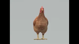 Chicken 3D Model Ready to Print