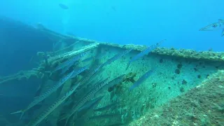 Lily and Adrian on the mighty Zenobia shipwreck with Freedom Divers Cyprus