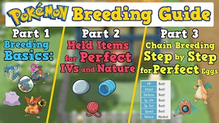 How to Breed PERFECT IV Pokemon the FASTEST Possible! | Pokemon BDSP Sword Shield