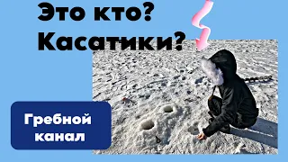 Девушка переловила всех!!!Такого никто не ожидал!!!