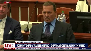 Johnny Depp not portrayed negatively before Heard allegations, expert testifies | LiveNOW from FOX