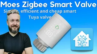 Moes Zigbee Smart Valve TS0601 in Home Assistant