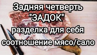 Задок разделка для себя задней полутуши  сколько мяса и сала в задней части свиной туши