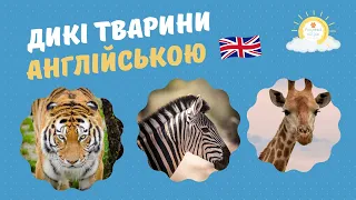 Дикі тварини англійською 🦔🐴 Wild animals  Звірі англійською мовою 🇬🇧 Англійська мова українською
