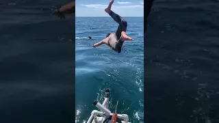 Man Takes Swim with Shark Then Panics After Realizing It Might Have Been a Great White