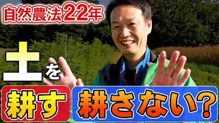 【自然栽培247】土を耕す、耕さないについてお答えします。自然農法で土の力が活性化するよ(^▽^)/