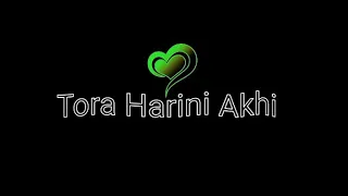 Tora Harini Akhi🥀Odia Romantic Black Screen Status 🥀 WhatsApp Status Video.