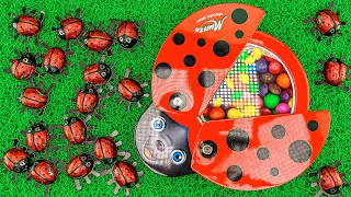 Color Satisfying Video | New Skittles Candy ASMR with Spider Slime & Soccer Balls in Magic Ladybug