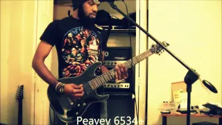 Peavey 6534+ VS Peavey 5150 (Tone Comparison)