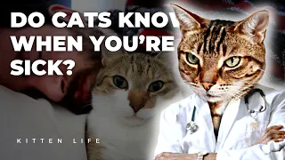 Feline Intuition: Do Cats Really Know When You're Sick?